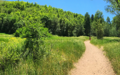 Utah Family Hike: Big Springs Hollow
