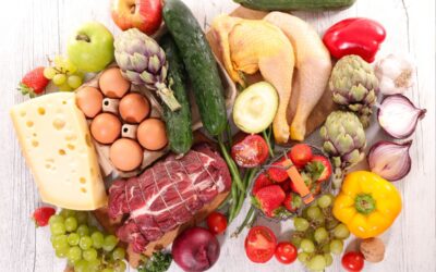 How Prioritizing Protein Actually Boosts Energy for Active Mamas