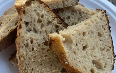 How to Master Sourdough in a Tiny Kitchen: A Beginner’s guide to Gut-Healthy Bread